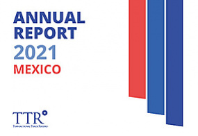 Mxico - Informe Anual 2021